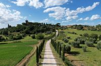 Val d'orcia (46)